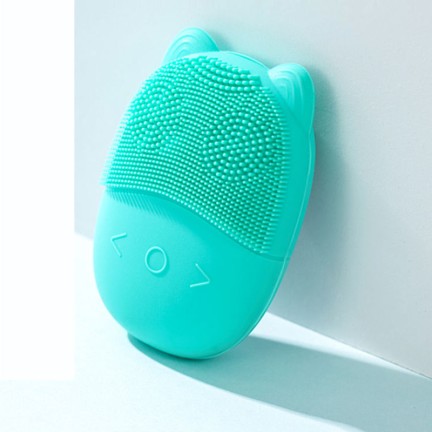5-speed USB rechargeable silicone facial cleansing brush