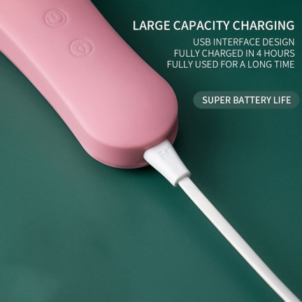 LED light therapy silicone deep cleansing facial brush