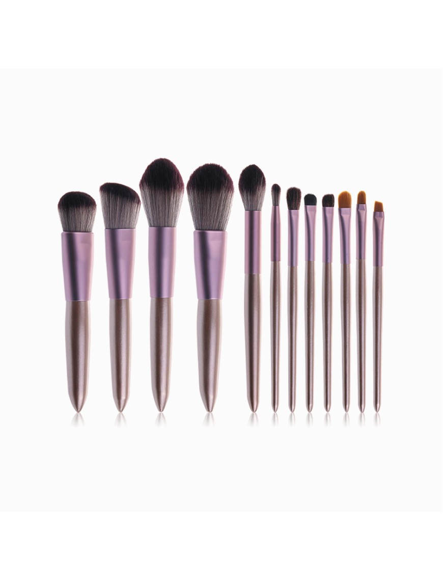 Luxury 12-piece all-purpose makeup brush set