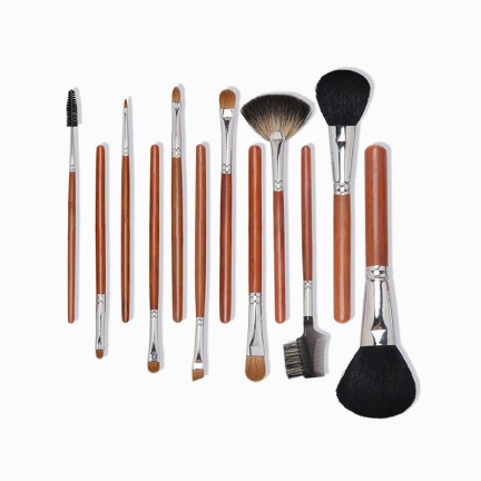 Professional 12-piece makeup brush set