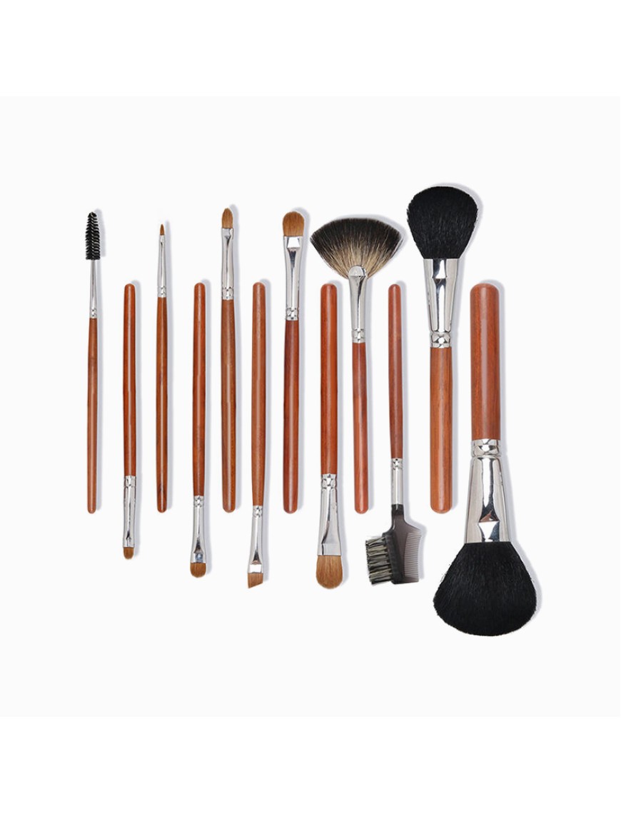 Professional 12-piece makeup brush set