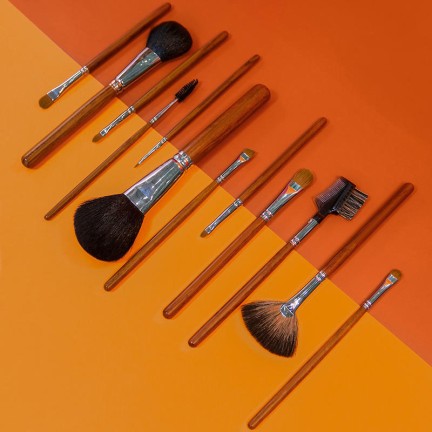 Professional 12-piece makeup brush set