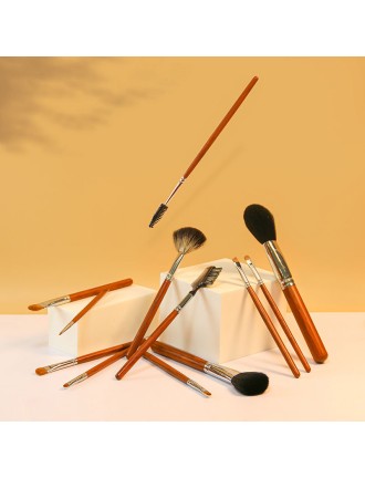 Professional 12-piece makeup brush set