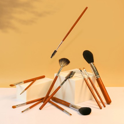 Professional 12-piece makeup brush set