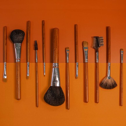 Professional 12-piece makeup brush set