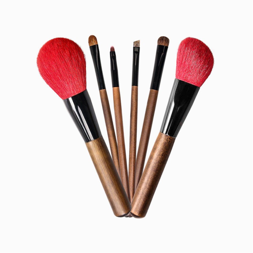 Exquisite set of six professional facial makeup brushes