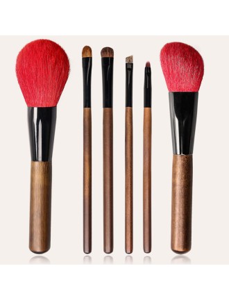 Exquisite set of six professional facial makeup brushes