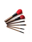 Exquisite set of six professional facial makeup brushes