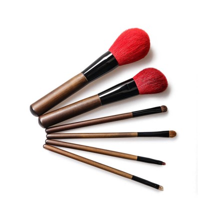 Exquisite set of six professional facial makeup brushes