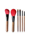 Exquisite set of six professional facial makeup brushes