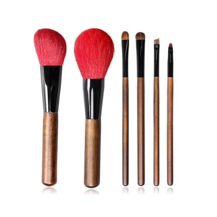 Exquisite set of six professional facial makeup brushes