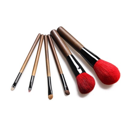Exquisite set of six professional facial makeup brushes