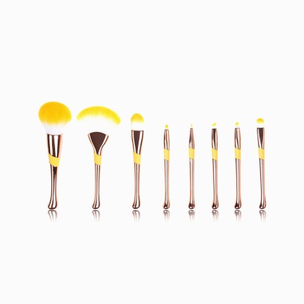 Portable set of 8 foundation makeup brushes