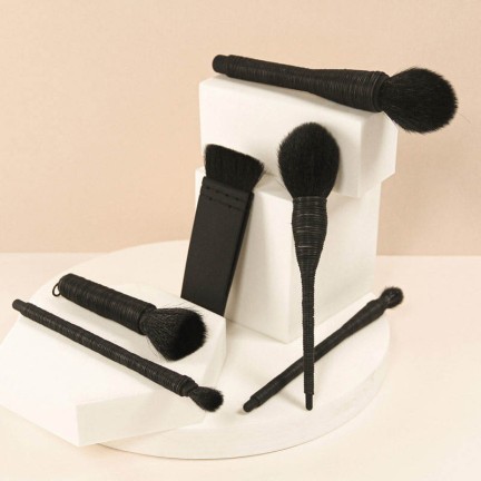 Stylish 6-piece facial makeup brush set